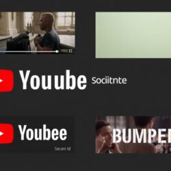 Mastering YouTube advertising: in-stream, discovery, and bumper ads